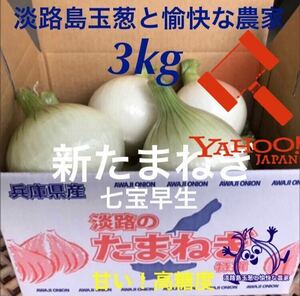 淡路島産新玉ねぎ 3kg 高糖度 新たまねぎ 新玉葱 新タマネギ