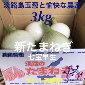 淡路島産新玉ねぎ 3kg×2箱 高糖度 新たまねぎ 新玉葱 新タマネギの画像3