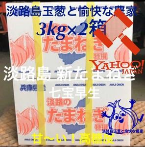 淡路島産新玉ねぎ 3kg×2箱 高糖度 新たまねぎ 新玉葱 新タマネギ