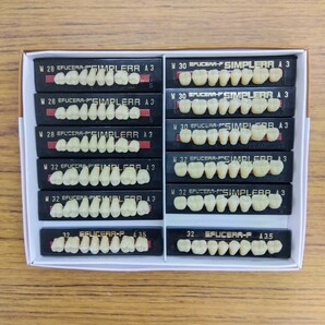 歯科技工　硬質レジン人工歯　山八　エフセラ臼歯 x 12枚