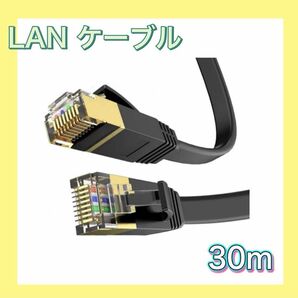 CAT6 LANケーブル 30m 有線 ランケーブル フラットタイプ