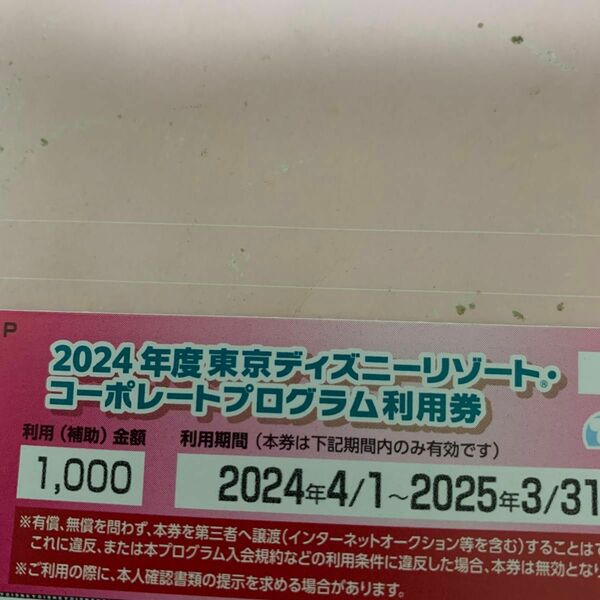 2024年度東京ディズニーリゾートコーポレートプログラム利用券1000円分