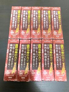 生薬当帰の力 サンスター薬用塩ハミガキ 30g × 10本セット