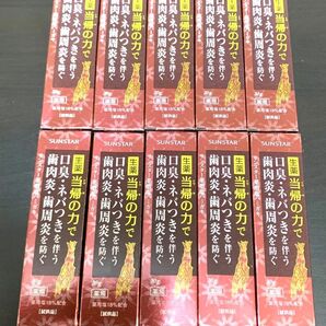 生薬当帰の力 サンスター薬用塩ハミガキ 30g × 10本セット