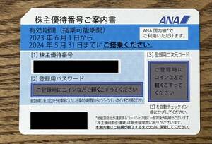 ANA株主優待券 2024年5月31日搭乗まで 1枚