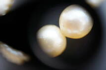 アクセサリー祭 真珠 パール ネックレス 2本セット SILVER刻印 7mm _画像5