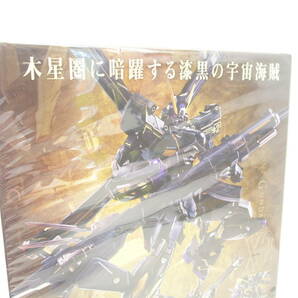 1728 玩具祭 BANDAI バンダイ メタルビルド クロスボーン ガンダムX2 METALBUILD CROSSBONE GUNDAM MX-X2 未開封品の画像7