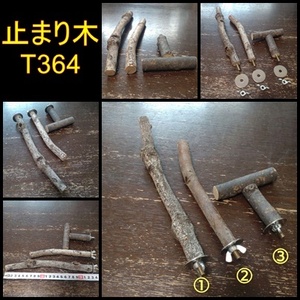 止まり木セット（枝：TOY-08-015、TOY-23-004）T364