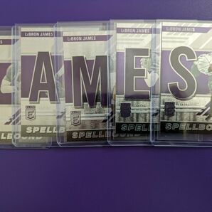 DONRUSS elite LEBRON JAMES SPELLBOUND complete set NBAカード