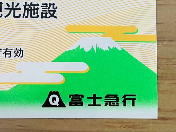 ★富士急ハイランド　フリーパス1枚分　共通券★