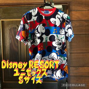 【美品】Disney RESORT ディズニーストア ミッキー 半袖 Tシャツ ユニセックス ミッキーマウス ディズニー
