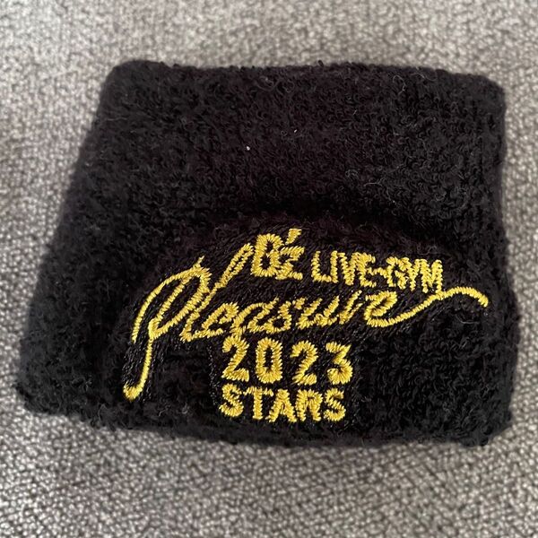 B'z Live-Gym Pleasure 2023 -STARS- ガチャ会場限定リストバンド(8月20日 味の素スタジアム)
