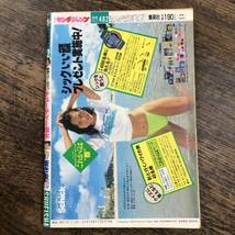 K-3526■週刊ヤングジャンプ 1989年7月20日■漫画 キューティー鈴木 蒼き炎 はいすくーる仁義■集英社_画像2