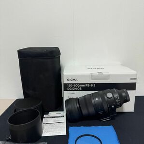 SIGMA 150-600mm F5-6.3 DG DN OS | Sports ソニーE ケンコーレンズフィルター付き