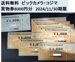 【送料無料】ビックカメラ・コジマ　株主優待　8000円分　2024/11/30期限　ソフマップ　買物券　電気店　電気屋