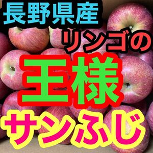 長野県産ふじりんご約9キロ りんご サンふじ