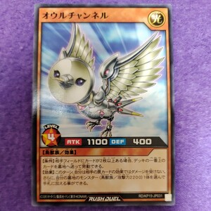 遊戯王 ラッシュデュエル オウムチャンネル ノーマル RD/KP15-JP031