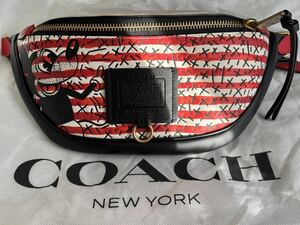 coach コーチ　ミッキー　キースヘリング