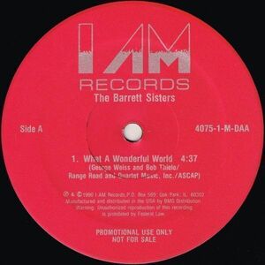 The Barrett Sisters / What A Wonderful World（I AM）1990 US 12″