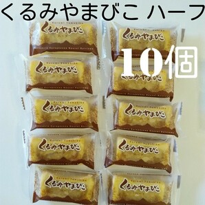 【10個】信州銘菓ヌーベル梅林堂 くるみやまびこ ハーフサイズ 