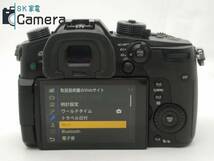 Panasonic RD-SPM049 （GH5業務用） パナソニック 互換性電池・充電器付 説明文必読 ⑤_画像5