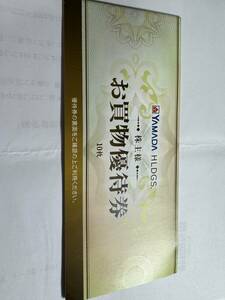 ■□ヤマダ電機 株主優待券　10枚（有効期限：2024/6/30)　送料無料□■