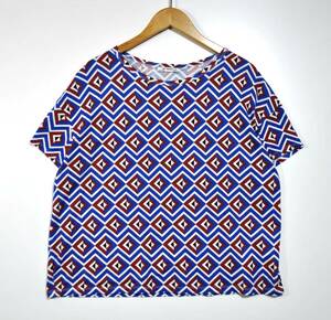 【ZARA TRAFALUC】ザラトラファルク 総柄 ショート丈 Tシャツ レディスM 古着