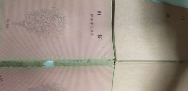 伊藤永之介の小説集『山桜』初版・カバ（昭和31年3月、河出書房[河出新書]）