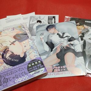 憐れなβは恋を知らない 3　アニメイト　小冊子　リーフレット　ぺーパー付　屋敷シマ　アニメイト限定セット　特典　限定　ハガキ