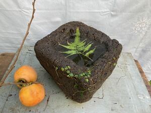 つくばい 花器 茶器 庭園 庭石 ガーデニング 盆栽 