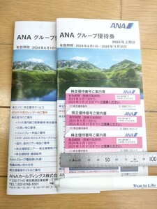 ANA　 全日空　 グループ優待券　3枚セット 株主優待 優待冊子