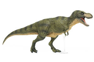 Rebor 2020 1/35 サイズ ティラノサウルス GNG T-REX Tレックス 大きい 肉食 恐竜 フィギュア おもちゃ 40cm級 塗装済 完成品 (TYPE C)