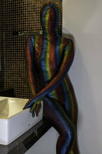 24022506 Midori ZENTAI Pictures Super Large (A3+) 4P Set (Marcy Anarchy) 