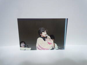 【当時品/現品のみ】岡田有希子/生写真/東武動物公園ハッピーオンステージ/昭和60年