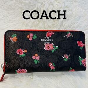 COACH コーチ 長財布 シグネチャー フラワープリント 花柄 ラウンドファスナー