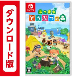 ニンテンドースイッチ版　どうぶつの森　追加コンテンツセット あつまれどうぶつの森　 Nintendo あつもり Switch