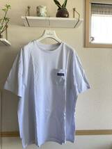 パタゴニアメンズデイリーポケット Tシャツ　　　　　　　Patagonia サイズL ホワイト白_画像1
