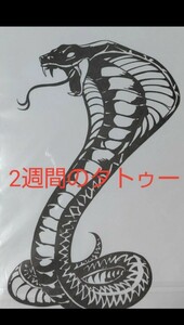 タトゥー シール ヘビ　入れ墨風タトゥーシール