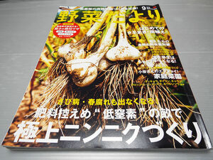 野菜だより 2021年秋号 極上ニンニクづくり はじめてのタネまき・苗植え