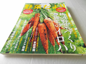 野菜だより 2021年夏号 秋の野菜づくり 施肥のイロハ みんなのアイデア栽培 ベテラン菜園家の野菜づくり