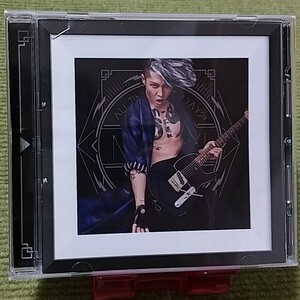 【名盤！】MIYAVI ALL TIME BEST DAY2 ベストCDアルバム What's My Name? 素晴らしきかな、この世界 Fire Bird Horizon Survive Let go 