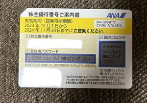 24年11月末期限ANA 株主優待券一枚送料込