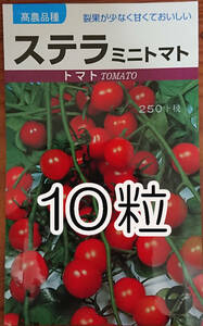 固定種　ミニトマト　ステラ　10粒　種　種子　　野菜　　家庭菜園