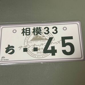 ♪サザンオールスターズ 茅ヶ崎ライブ 2023ナンバープレートフウマグネット♪新品、未開封