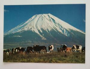 絵葉書　富士山　朝霧高原　　　　　　　　　　　　　　　　　　　　　　　　　　　　　