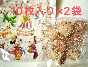 東京ディズニーリゾート 40周年 ディズニーランド お菓子 焼菓子 クッキー チョコチップクッキー 2袋