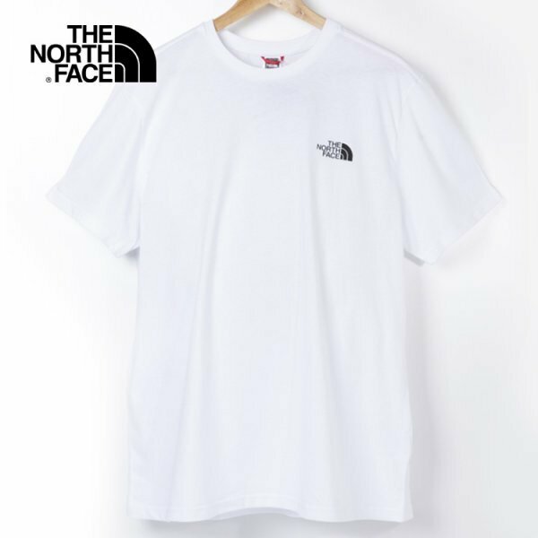 Lサイズ THE NORTHFACE ザ ノースフェイス Tシャツ カットソー メンズ ブランド 白 ホワイト nf0a2tx5