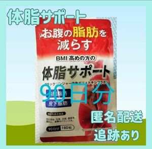 体脂サポート 3ヶ月分（９０日分）180粒 ダイエット 内臓脂肪 皮下脂肪 ＢＭＩ　機能性表示食品１袋 賞味期限26年1月サプリ