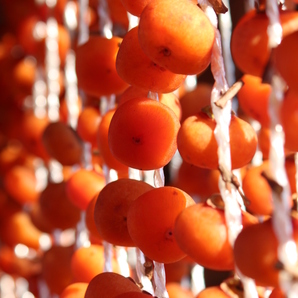 1円～■山形県産 極上干し柿 紅柿あんぽ２L～３Ｌ4個入り×3袋(計１２個）の画像8