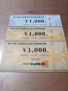 ☆ビックカメラ、コジマ☆株主優待　お買物優待券3千円分